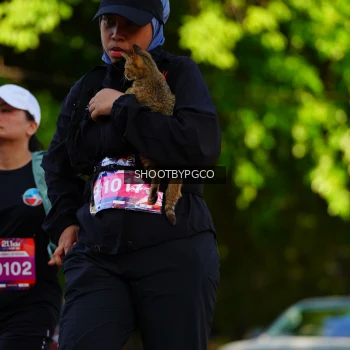 Runner Photo 3651936