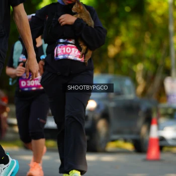 Runner Photo 3653411