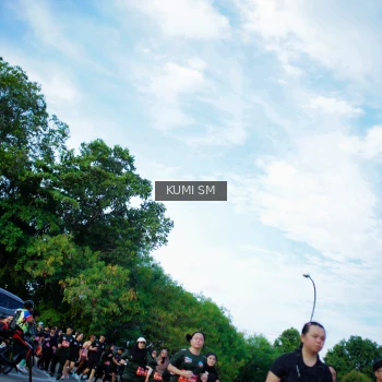Runner Photo 3653980