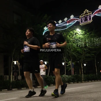 Runner Photo 3654527