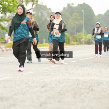 Runner Photo 3654823