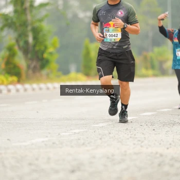 Runner Photo 3657405