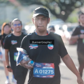 Runner Photo 3662863