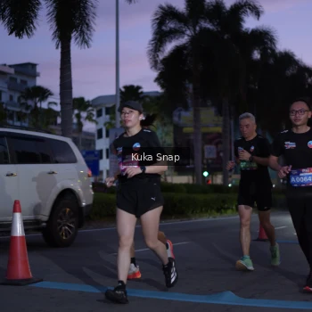 Runner Photo 3663437