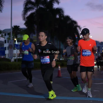 Runner Photo 3663447