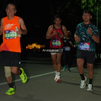 Runner Photo 3665240