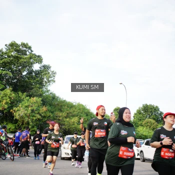 Runner Photo 3666445