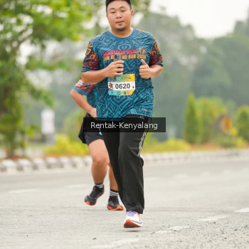 Runner Photo 3671052