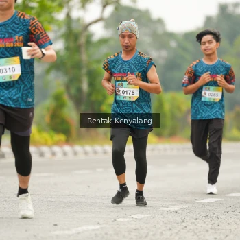 Runner Photo 3680695