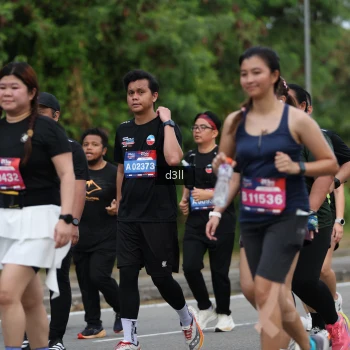 Runner Photo 3691381