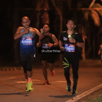 Runner Photo 3721819