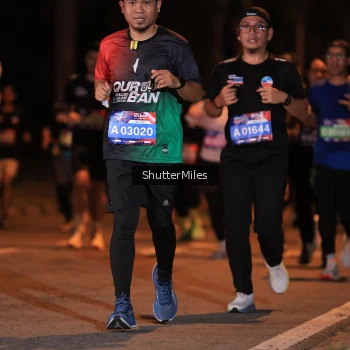 Runner Photo 3724582