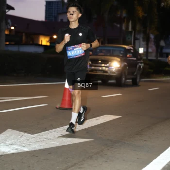 Runner Photo 3727666
