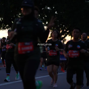 Runner Photo 3732282