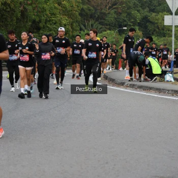Runner Photo 3733835