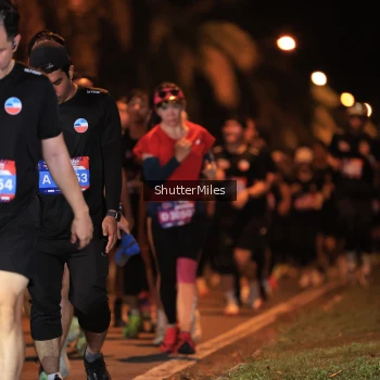 Runner Photo 3735212