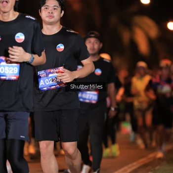 Runner Photo 3735302