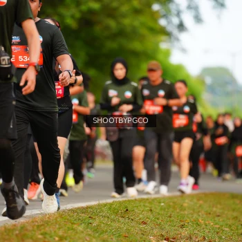 Runner Photo 3736527