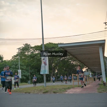 Runner Photo 3736716