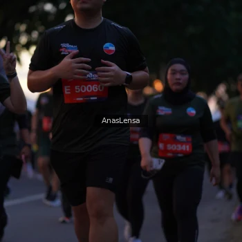 Runner Photo 3737079