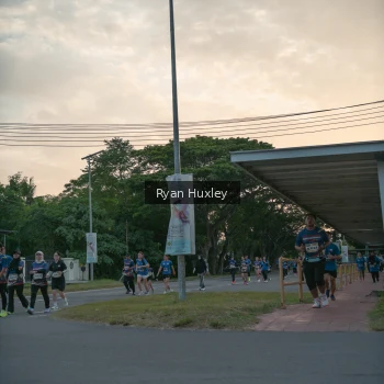 Runner Photo 3737438