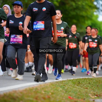 Runner Photo 3737720