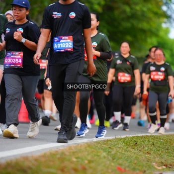 Runner Photo 3737738
