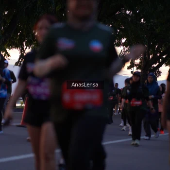 Runner Photo 3738962