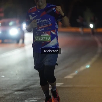 Runner Photo 3739240