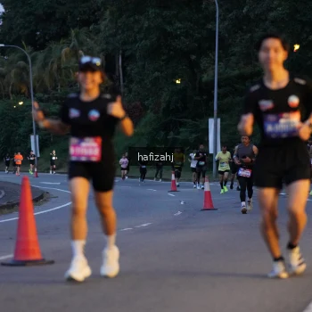 Runner Photo 3739284