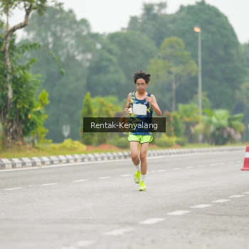 Runner Photo 3739516