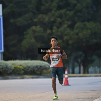 Runner Photo 3739656
