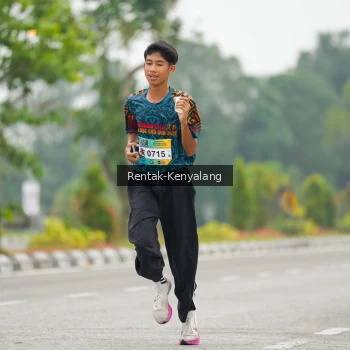 Runner Photo 3740483