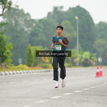 Runner Photo 3740580