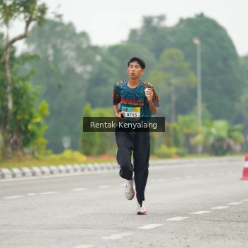 Runner Photo 3740698