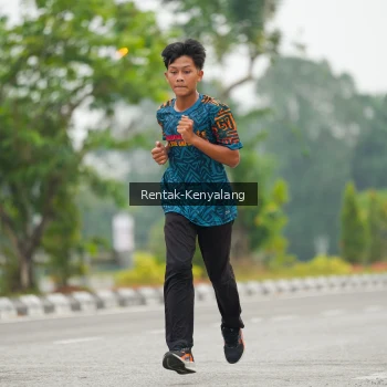 Runner Photo 3740871