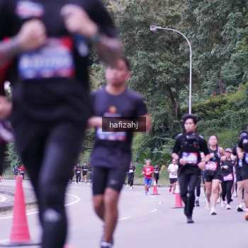 Runner Photo 3741367