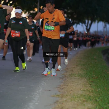 Runner Photo 3741927