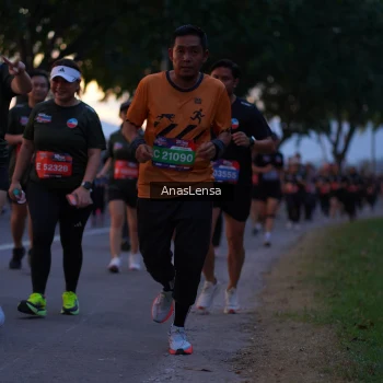 Runner Photo 3741981