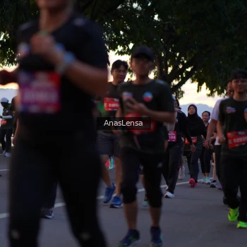 Runner Photo 3742788