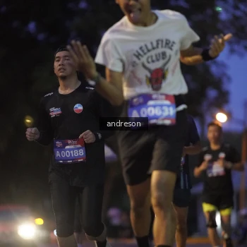 Runner Photo 3743834