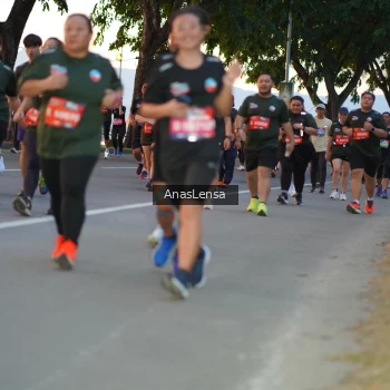 Runner Photo 3747393