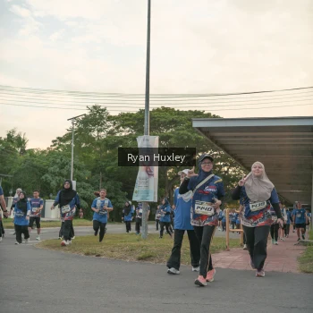 Runner Photo 3747839
