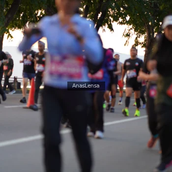 Runner Photo 3748904