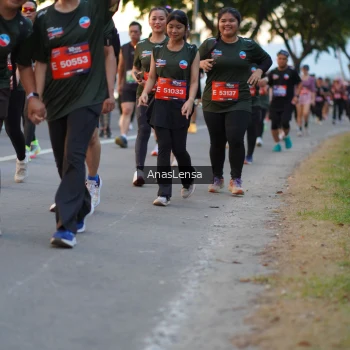 Runner Photo 3751450