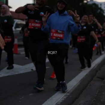 Runner Photo 3753781