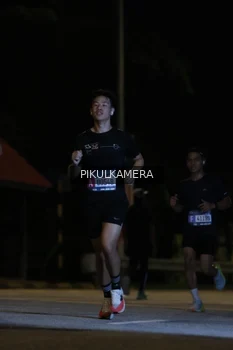 Runner Photo 3760538