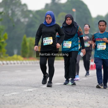 Runner Photo 3765352