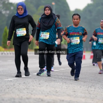 Runner Photo 3765401