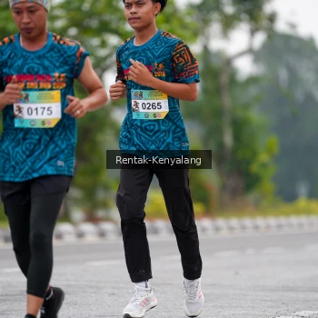Runner Photo 3767018